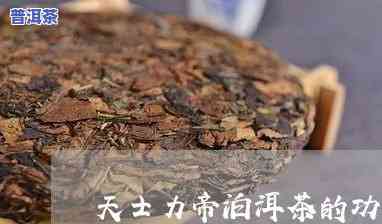 天士力帝泊洱茶怎么样？功效与生产厂家全解析