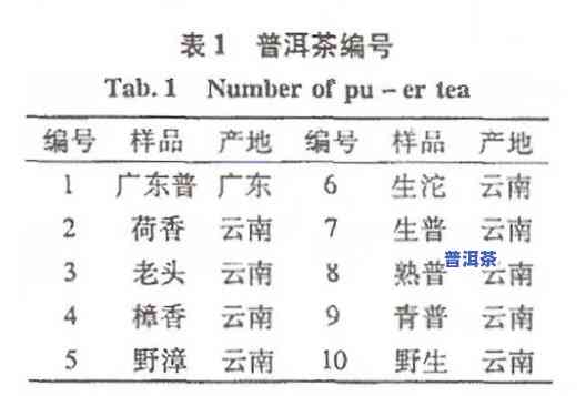 普洱茶的代号名称全览及读音解析