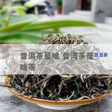 出奶香的普洱茶叫什么茶-出奶香的普洱茶叫什么茶名