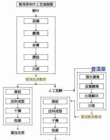 生普洱制作工艺流程-生普洱制作工艺流程介绍