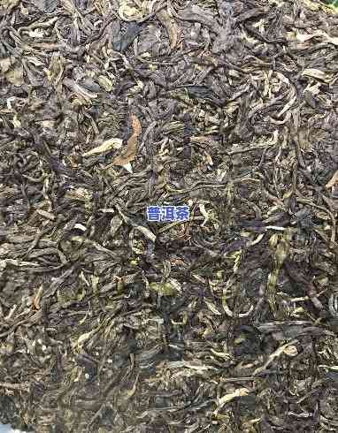 老班章一品当朝3000克什么价格，探寻普洱茶珍品：老班章一品当朝3000克的价格解析