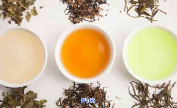 普洱茶红茶白茶绿茶茶树-普洱,绿茶,白茶,红茶哪个更健康