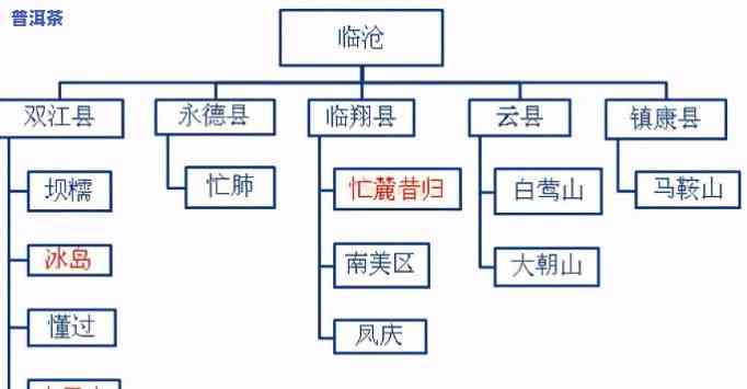 普洱茶属于什么类别的茶？探讨其分类及特点