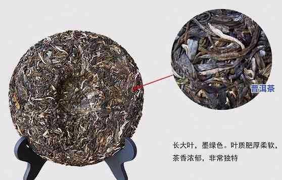 普洱茶属于什么茶种？其特征与特点解析