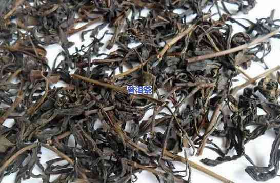 普洱茶的梗叫龙骨吗图片-普洱茶的梗叫龙骨吗图片大全