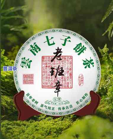 勐海老班章七子茶357克价格，探秘茶界珍品：勐海老班章七子茶357克价格解析