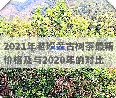 2020年老班章古树价格，2020年老班章古树茶价格行情分析