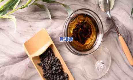 为什么领导都喜欢喝绿茶？探究领导偏好的绿茶文化与作用