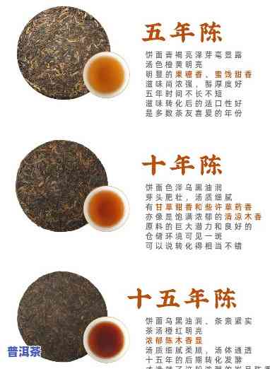 十三年的普洱茶，岁月的沉淀：品鉴十三年陈普洱茶的特别韵味