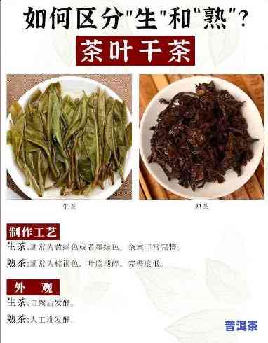 熟的普洱茶是啥茶叶做的呢，探秘熟普洱茶：熟悉这类由什么茶叶制成的特别饮品