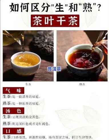 熟的普洱茶是啥茶叶做的呢，探秘熟普洱茶：熟悉这类由什么茶叶制成的特别饮品