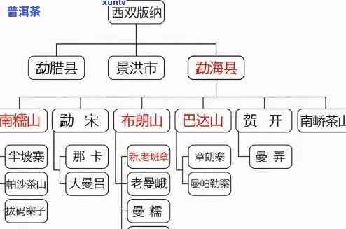 普洱中期茶：定义、种类与颜色全解析