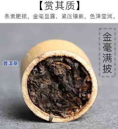 勐海金鼎茶业老班章：竹筒茶价格全览