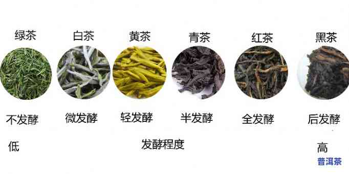 楼上的普洱茶是何种茶叶制成？该仅专注于茶叶业务吗？