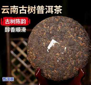 湖南古树普洱茶排行-湖南古树普洱茶排行榜前十名