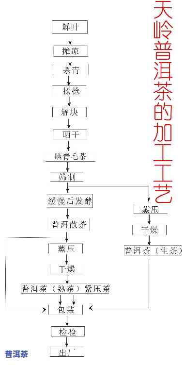 冷萃普洱茶制作过程高清图片大全