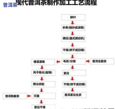 冷萃普洱茶制作过程视频教程，独家揭秘：冷萃普洱茶制作全过程视频教程