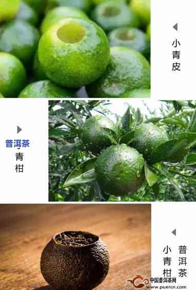 青桔普洱茶与柠檬茶的搭配：口感怎样？