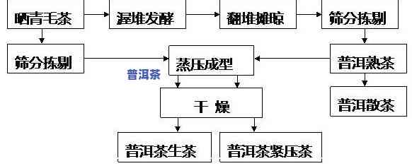 普洱茶加工工艺流程图：详细图片大全