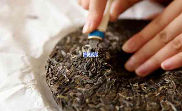 大块普洱茶怎样撬茶叶壳子，普洱茶撬壳技巧：怎样轻松拆解大块茶叶？