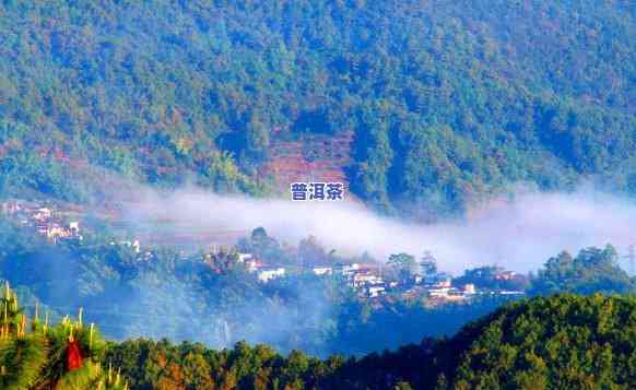 云南普洱云海在哪里啊，「揭秘」云南普洱云海的壮丽景色，你不可错过的自然奇观！