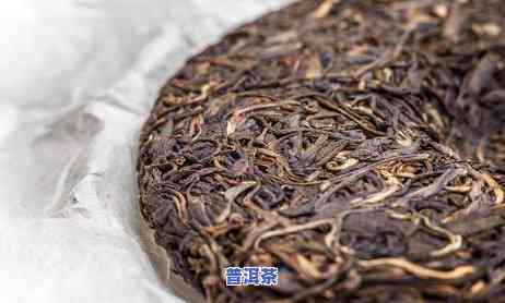 虫蛀的普洱茶怎么泡茶喝的，怎样冲泡虫蛀的普洱茶？详细步骤解析