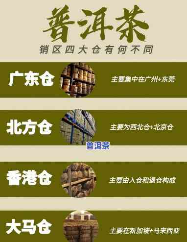 远东普洱茶仓是什么茶种？产地与品质全解析