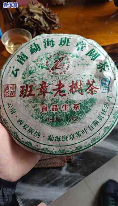 老班章好喝吗，品鉴老班章：探究这款茶的好喝之处