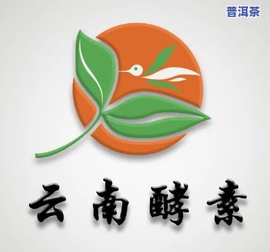 云南大滇印象生物科技：招聘信息与公司评价