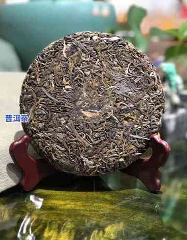 19年普洱口感怎样？好喝吗？价格是多少？