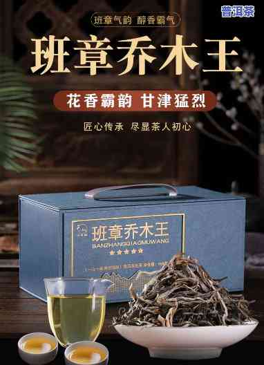 西双版纳老班章茶厂-西双版纳班章茶厂班章乔木王