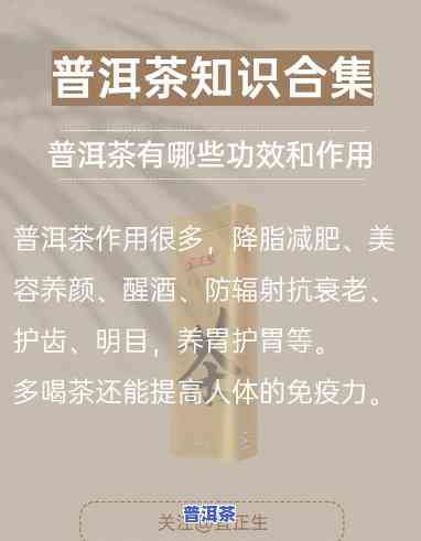 老树普洱茶日常用法视频大全：从入门到精通全解析