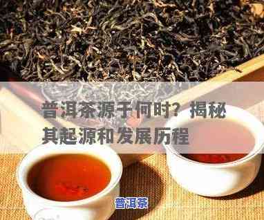 普洱茶传承和发源于哪里-普洱茶传承和发源于哪里呢