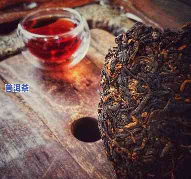 普洱茶的传承故事，岁月流转：普洱茶的传承故事