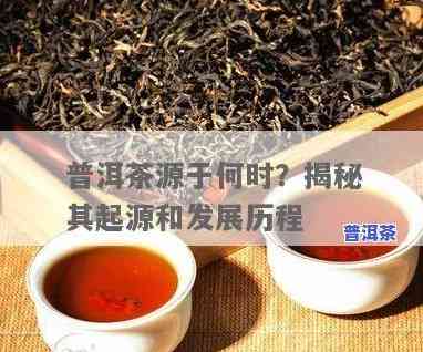 普洱茶传承和发源的关系-普洱茶传承和发源的关系是什么