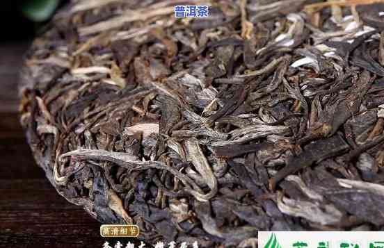 普洱茶减肥的泡法是什么-普洱茶减肥的泡法是什么意思