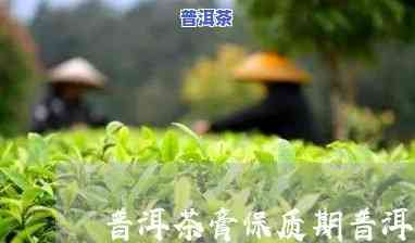 普洱茶膏保存时间：多久算久？最长时限揭秘