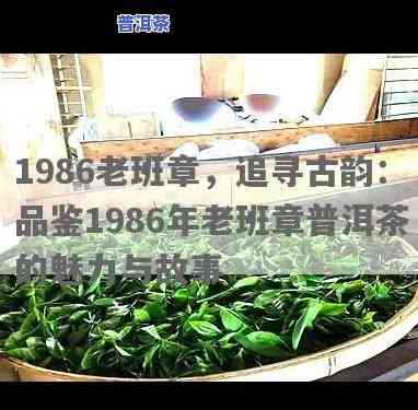 1986年老班章，追寻历史的记忆：1986年的老班章