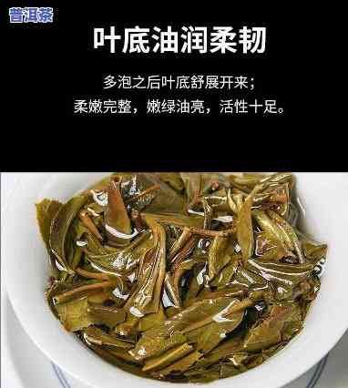 普洱茶的一片叶子能喝吗，一片叶子的普洱茶：你是不是听说过这样的饮茶方法？