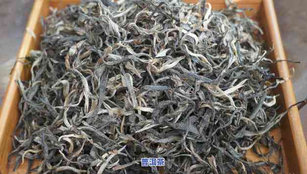 金骏眉是茶饼还是普洱茶好？探讨口感与品种差异