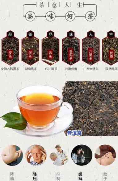 古树普洱茶煲汤方法视频-古树普洱茶煲汤方法视频教程