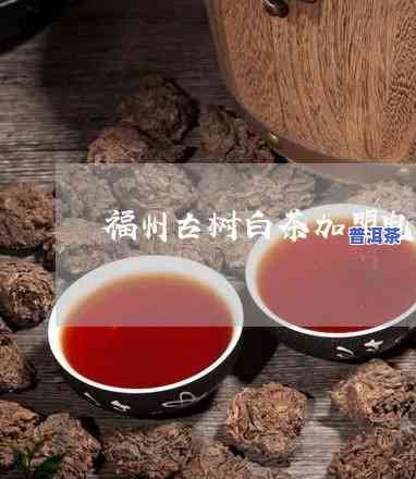 福州古树普洱茶批发地址查询，【福州】古树普洱茶批发商地址大全，快速查询！