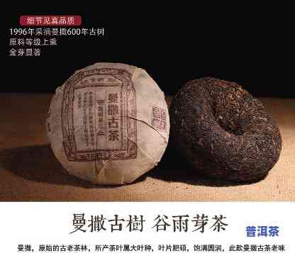 古树普洱茶600年产量-古树普洱茶600年产量多少