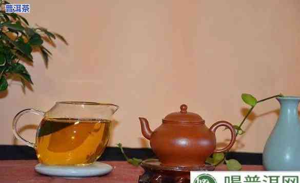 陈旧的普洱茶：用途、功效与图片全解析