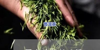 昌泰沙场普洱茶产量多少-昌泰沙场普洱茶产量多少吨