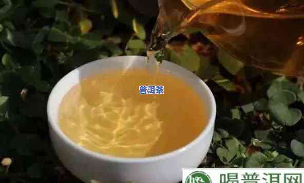 普洱茶可以做精油吗视频-普洱茶可以做精油吗视频讲解