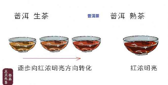 生普洱时间越长越好？探讨普洱茶陈化价值与适宜饮用期