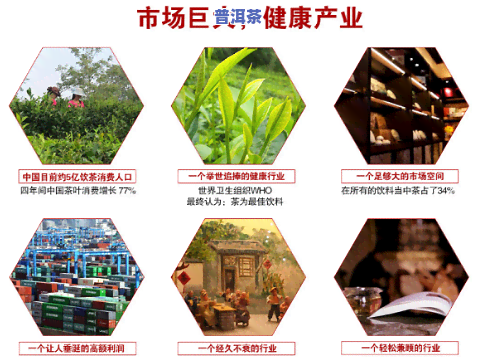 湛江知名普洱茶招商加盟店有哪些，寻找商机：熟悉湛江地区知名的普洱茶招商加盟店铺