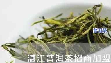 湛江知名普洱茶招商电话-湛江知名普洱茶招商电话号码