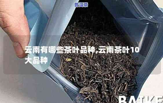 云南金腾茶叶种类价格，云南金腾茶叶品种丰富，各具特色，价格实惠！